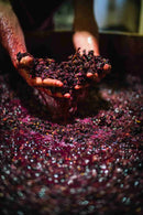 Margarethenhof Maischegärung Rotwein