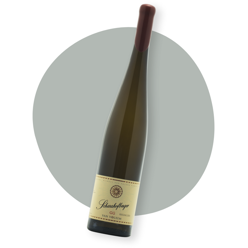 Van Volxem Scharzhofberger Riesling Großes Gewächs 2020 Magnum